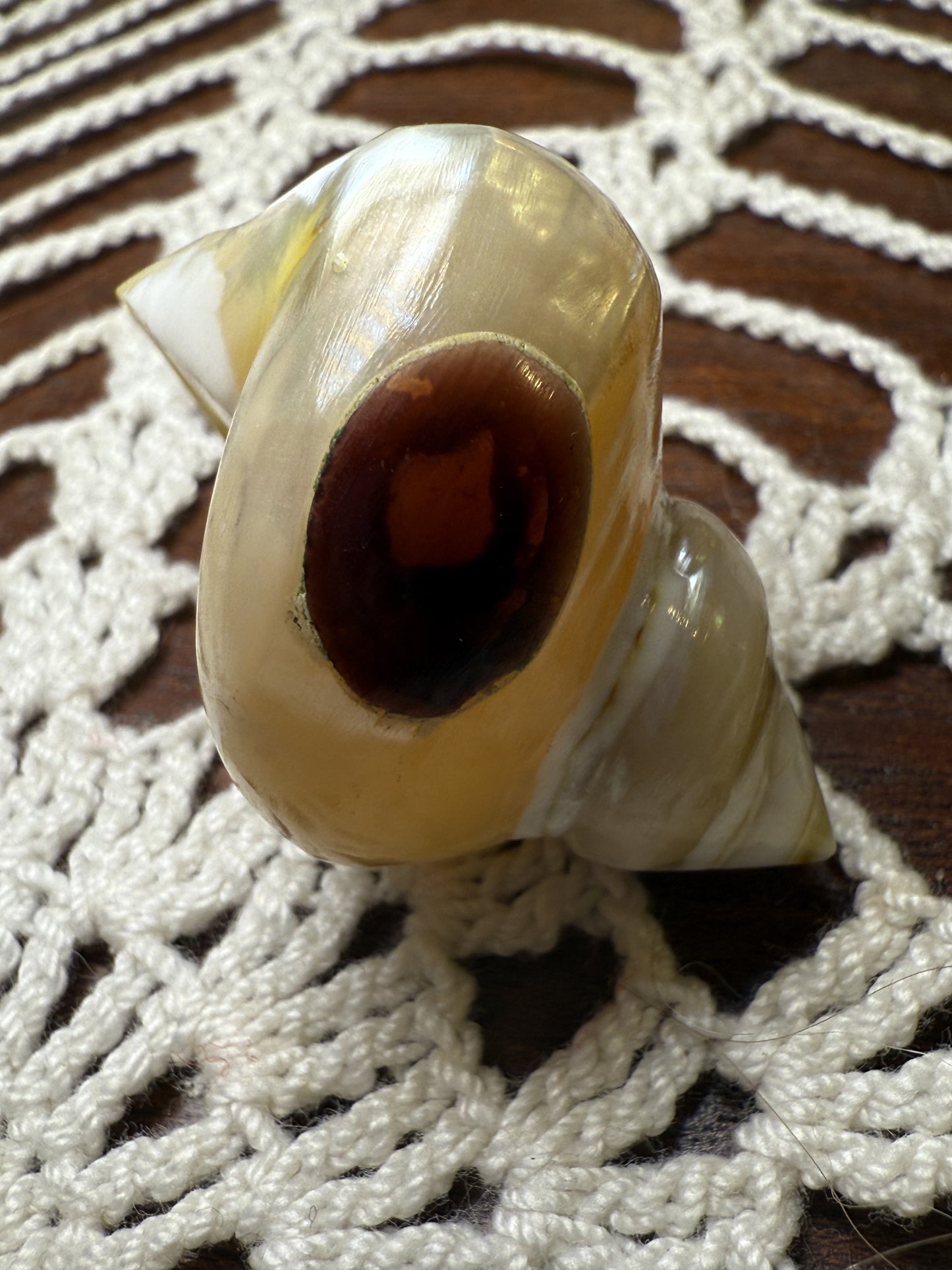 Vintage Huge Seashell Ring