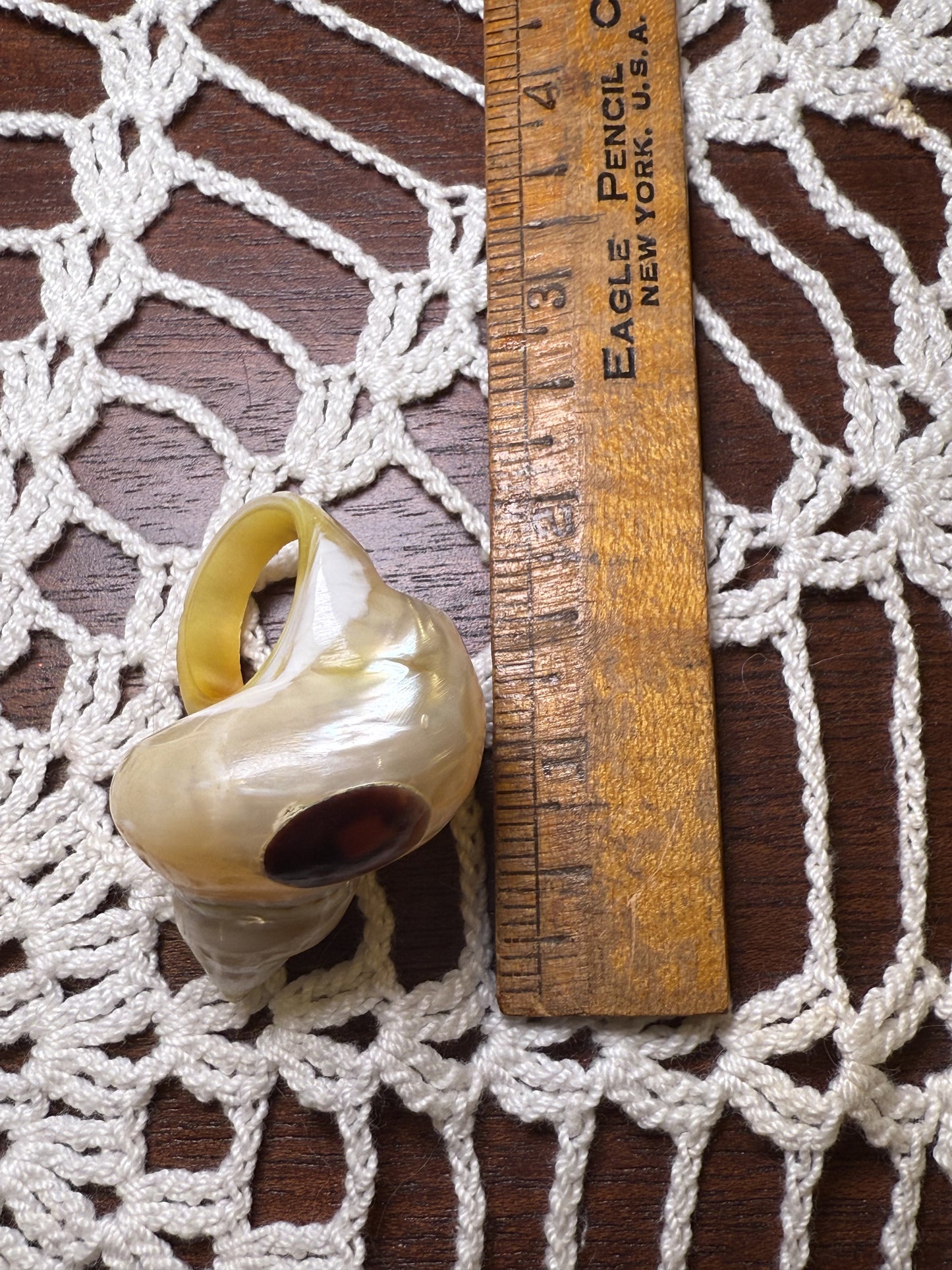 Vintage Huge Seashell Ring